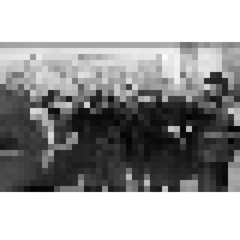 Серия фотографий с авторской фотовыставки "Мой взгляд". Фото цв. Префект Алексей Ищук открывает путепровод через Октябрьскую ж/д