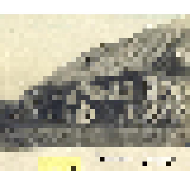 Фотоотпечаток. Потройка в деревне Шуг. Карелы