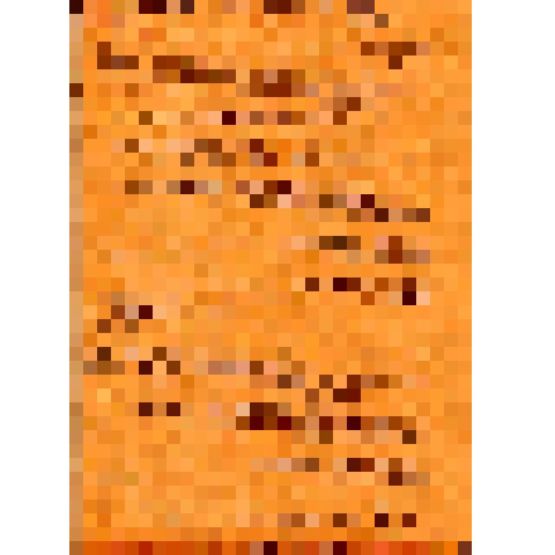 Губернский отдел. "Куда ти завел нас?" (на укр. яз.)