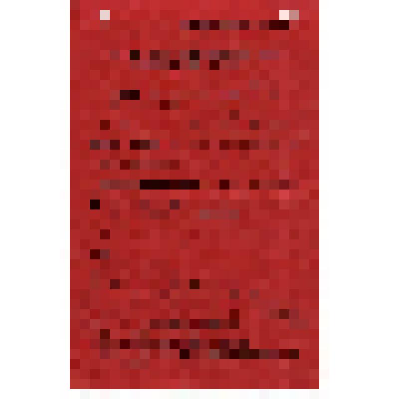 Мандат N28 делегата Симбирской Губернской партийной конференции РКП(б) т. Прыткова