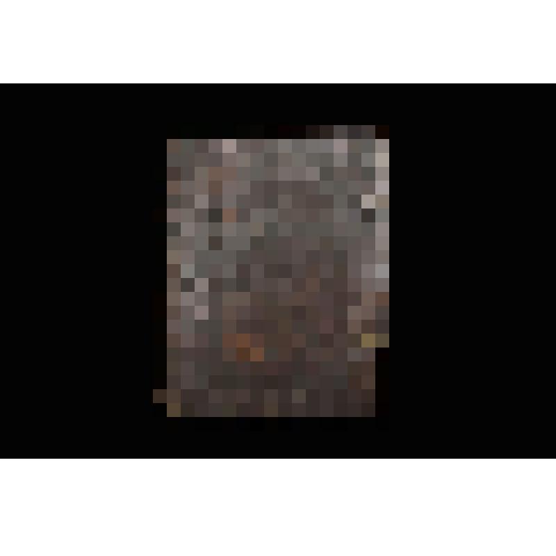 Книга старопечатная. Грамматика. М., Печатный двор,1648