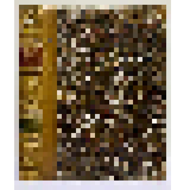 Книга. Neue Wirbelthiere zu der Fauna von Abyssinien gehörig