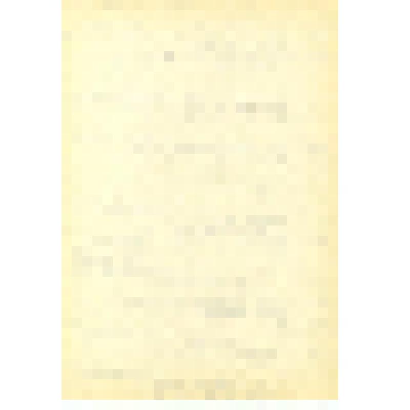 Рукопись. Сценарий к фильму «Человек в штатском»