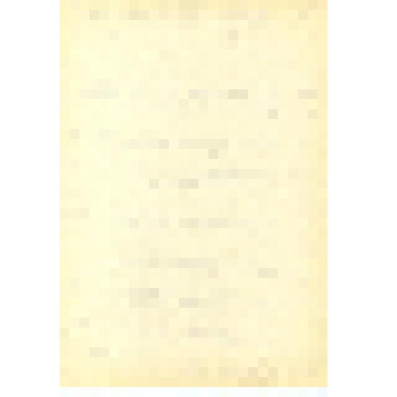 Рукопись. Сценарий к фильму «Человек в штатском»