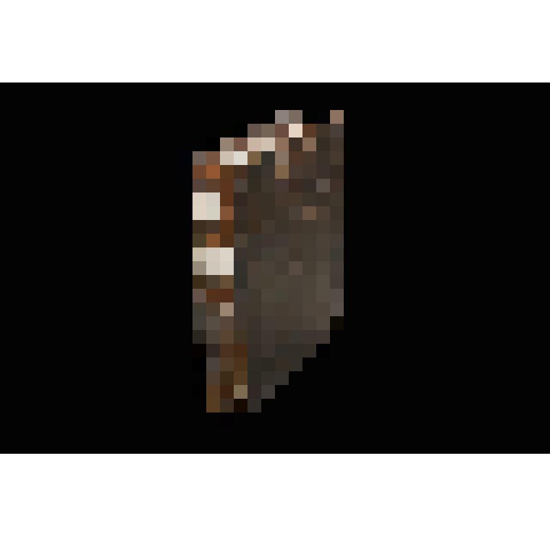 Книга старопечатная. Букварь славено-греко-латинский.  М., Печатный двор, 1701