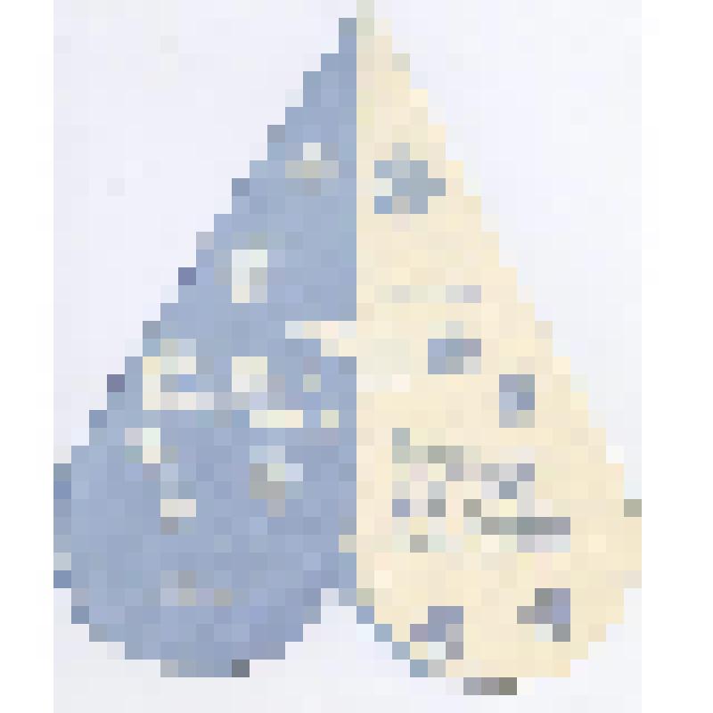 Программа спектакля Государственного русского драматического театра им. В. Г. Короленко. Л. Устинов. Лесная сказка или Большой подарок для самых маленьких