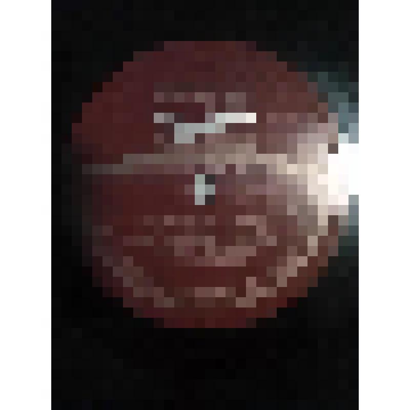 Грампластинка. Сцена Собакевича и Чичикова из пьесы по поэме Н. Гоголя "Мертвые души" (начало и продолжение 1). Исполняют: М. Тарханов, В. Топорков. "Мертвые души". Москва, Московский Художественный академический театр СССР им. М. Горького