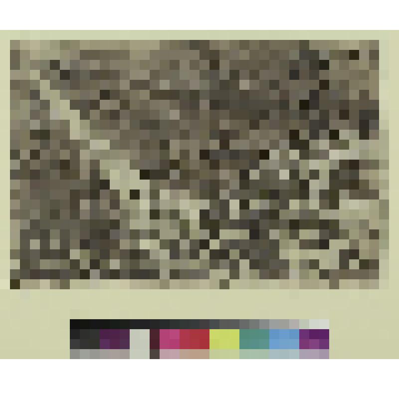 Сквозь грозу и опасность, гравюра