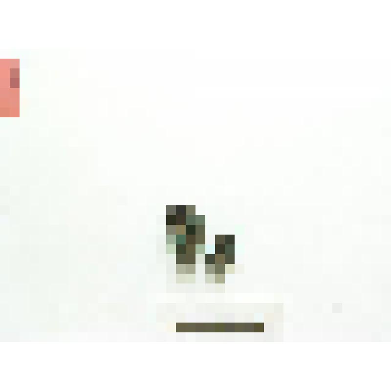 Обойма из свернутой в трубочку пластинки, во фрагментах