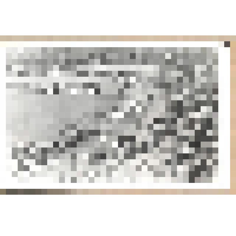 Фотография. Построение участников III-го Республиканского детского музыкального фестиваля на стадионе г. Воткинска