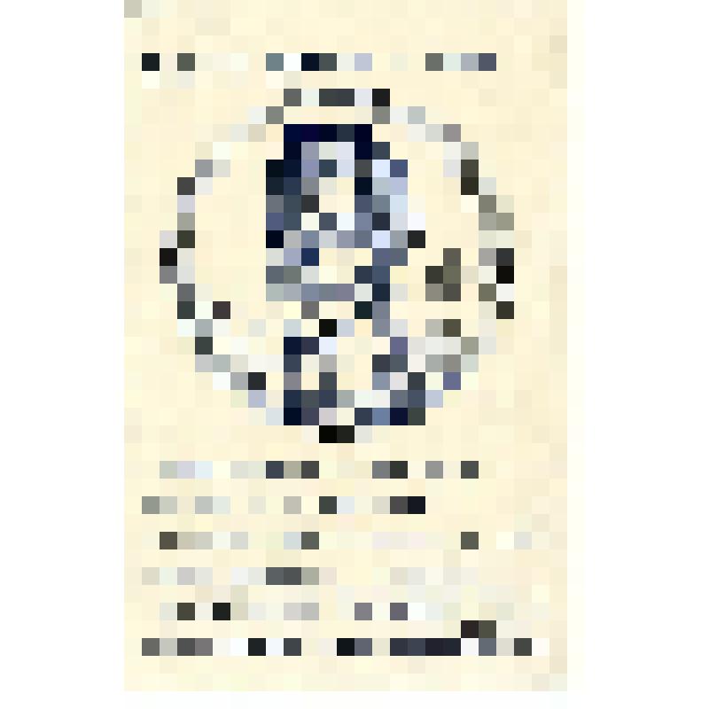 Рисунок. Копия с барельефа Э. Толля, выполненного выжиганием по дереву Ярославским Е.М. в 1915 г