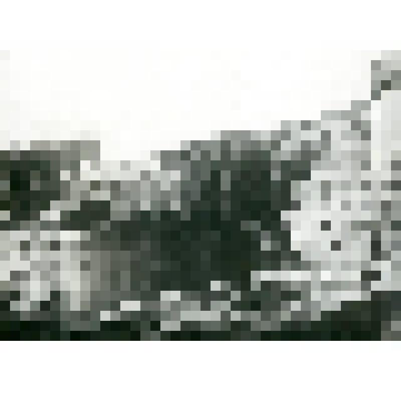 Фотография. Разделка рыбы. Песок ок. «Столба»