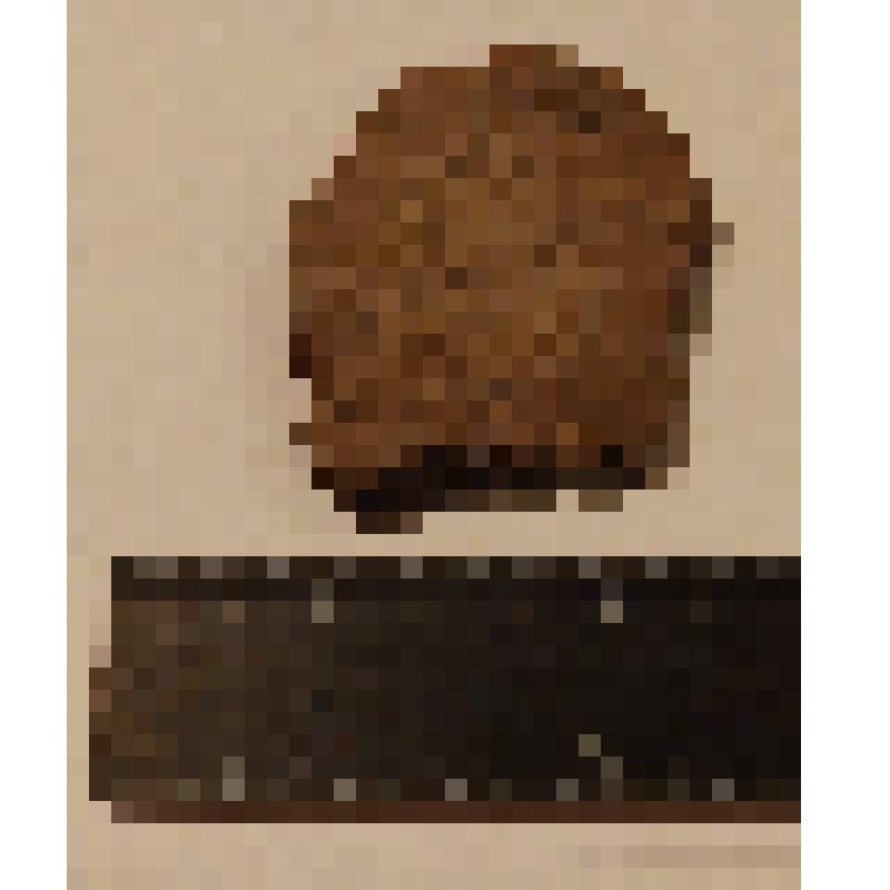 Коллекция предметов археологии.
Городище у деревни Буяново Краснинского района.
Фрагменты Керамики