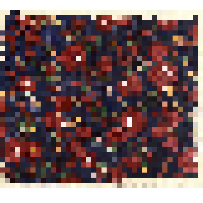 Зарисовка набойки на х/б ткани. Из альбома зарисовок "Русские набойки и ситцы Верхнего Поволжья XVII - XIX веков"