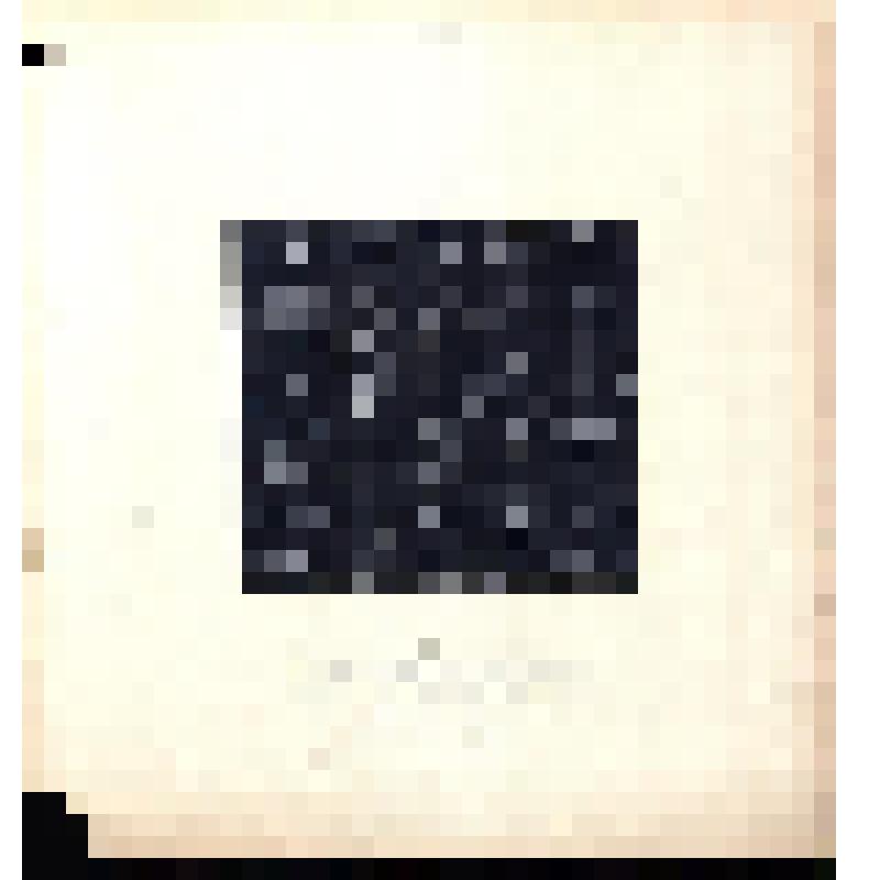 Зарисовка орнамента набойки. Из альбома «Рисунки с русских набоек, собранных И.А.Гальнбек». Часть 1