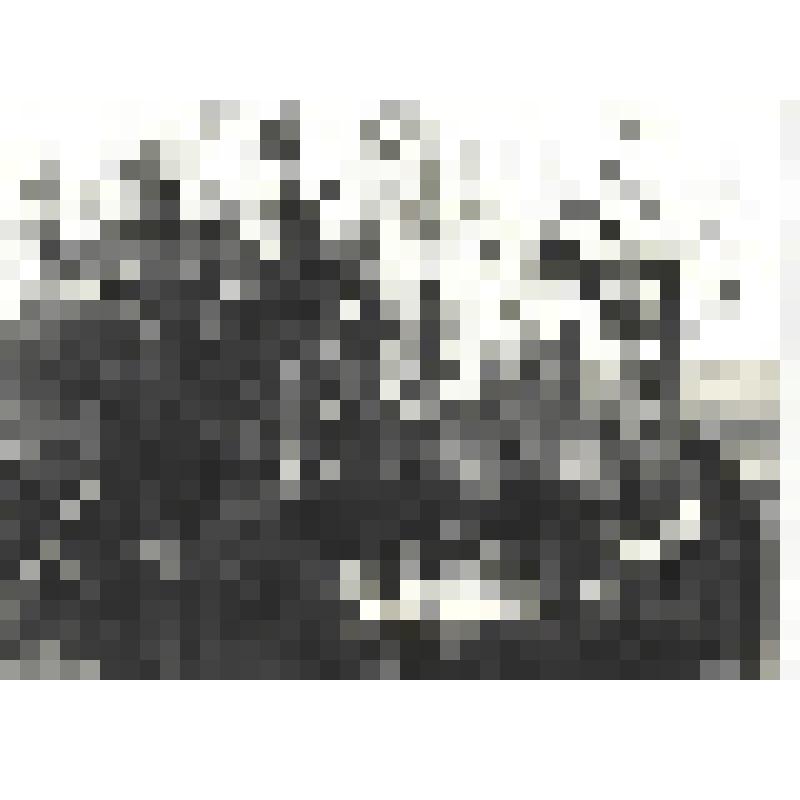 Фотографии. Фото ч/б. Война окончена. Танкисты отдыхают. Берлин, май 1945 г