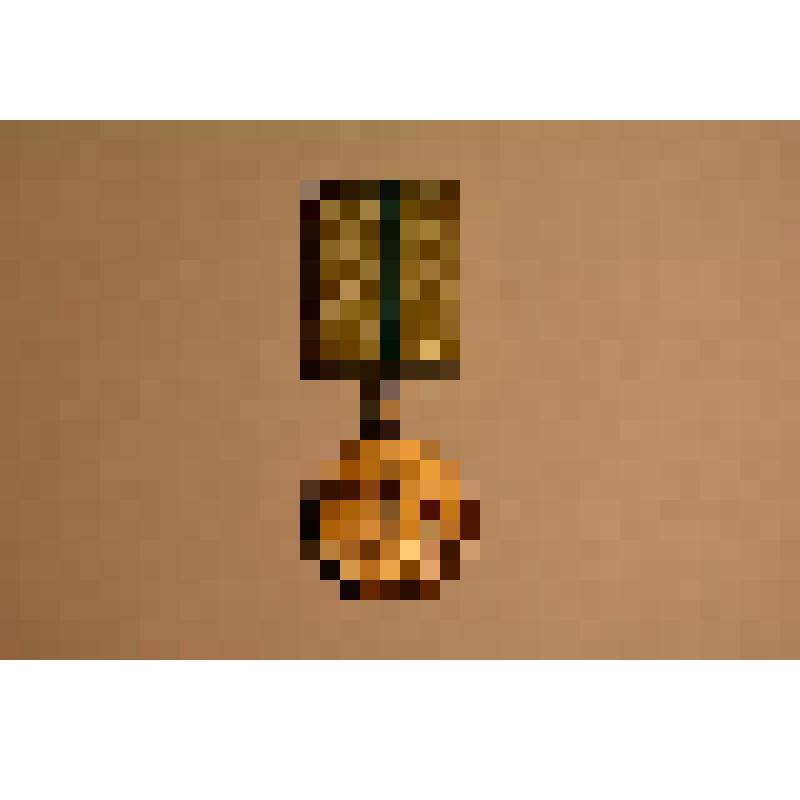 Памятная медаль «В честь 60-летия полного освобождения Ленинграда от фашистской блокады» и Рябоконя Р.В