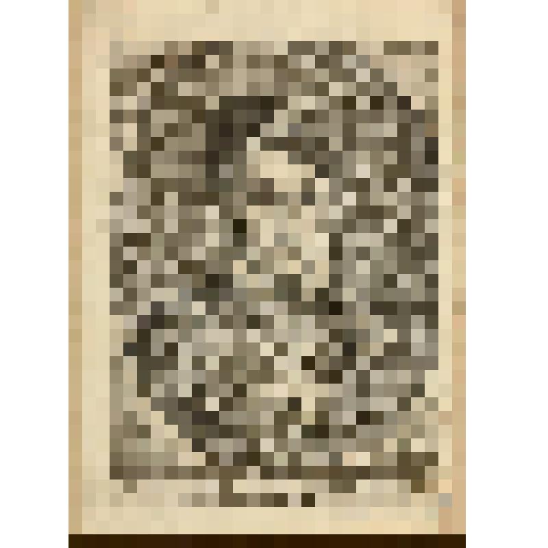 Луи́с де Рекесéнс-и-Су́ньига (1528-1576) - испанский государственный деятель, фонд западноевропейского  гравированного портрета