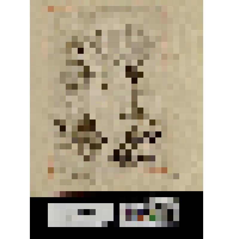 Рекламное объявление гравера и печатника Глэсса.  "Glasse Engraver and Printer... Strand"