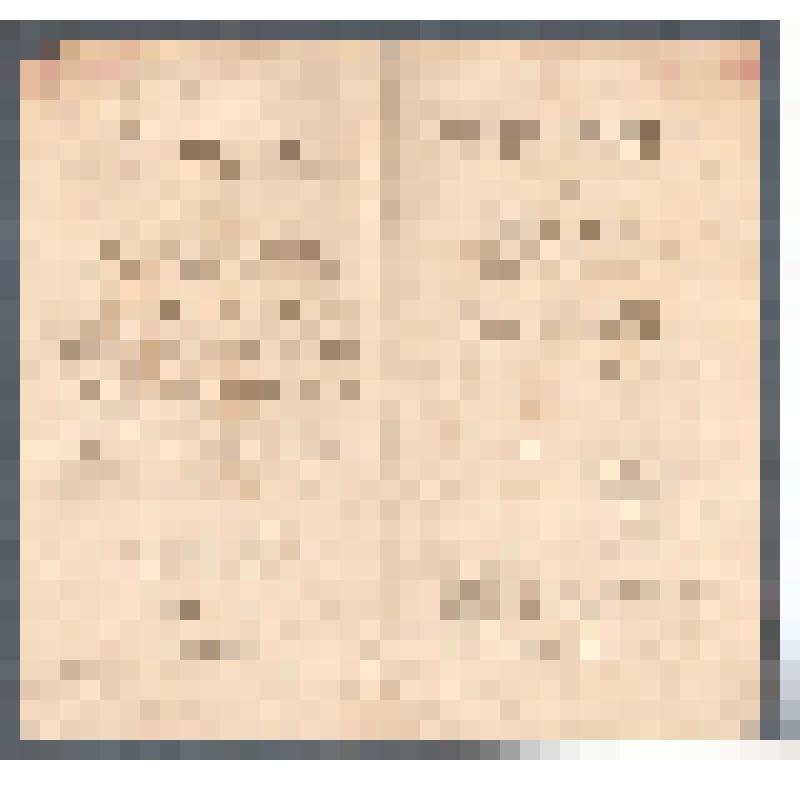 Программа спектакля. Программа вечернего спектакля - балета "Карнавал" Р.Шумана,"Петрушка" И.Ф.Стравинского, "Исламей" М.А.Балакирева,  в Государственном академическом театре оперы и балета. Спектакль: «Петрушка».  Постановщик: Леонтьев Леонид Сергеевич