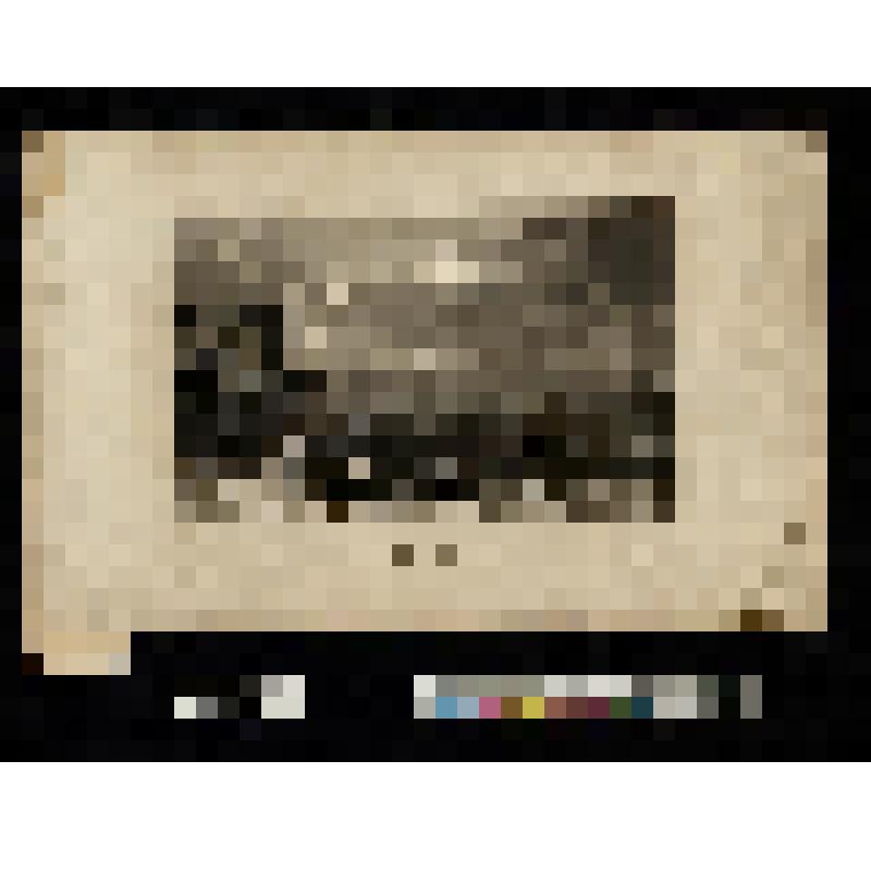 Вид горы Арарат с радугой в глубине и отрядом на верблюдах на первом плане