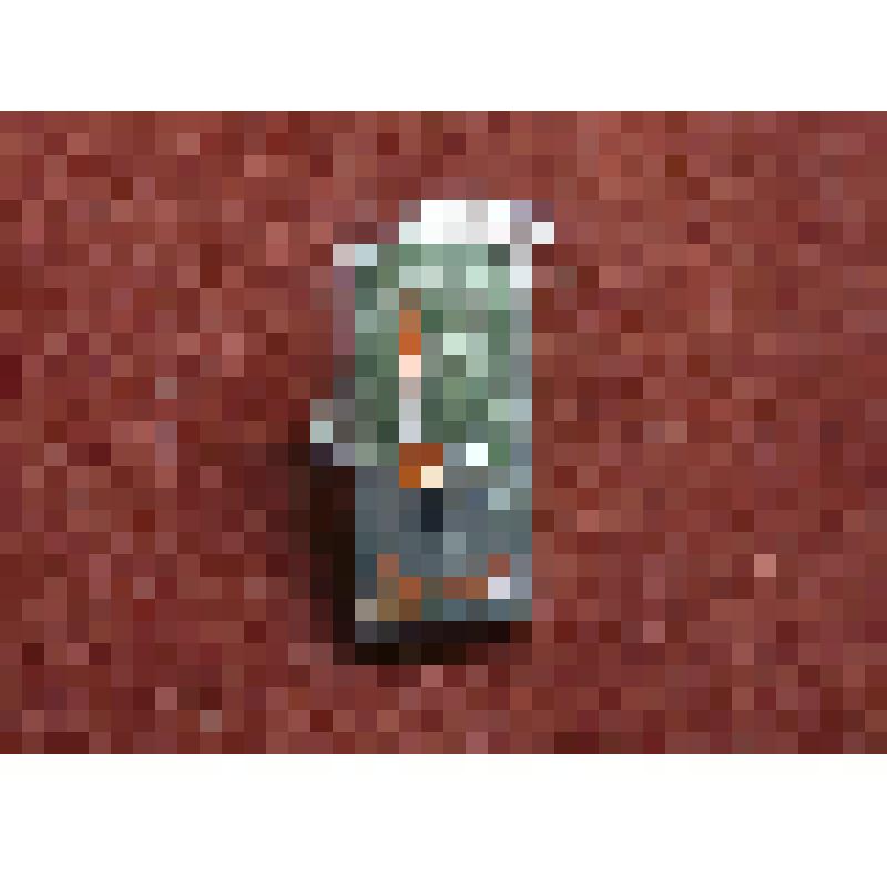 Значок. Луна 4