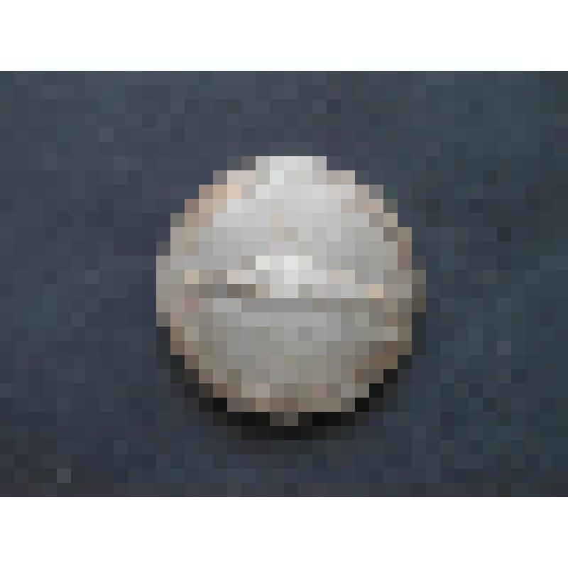 Медаль. Пушкин