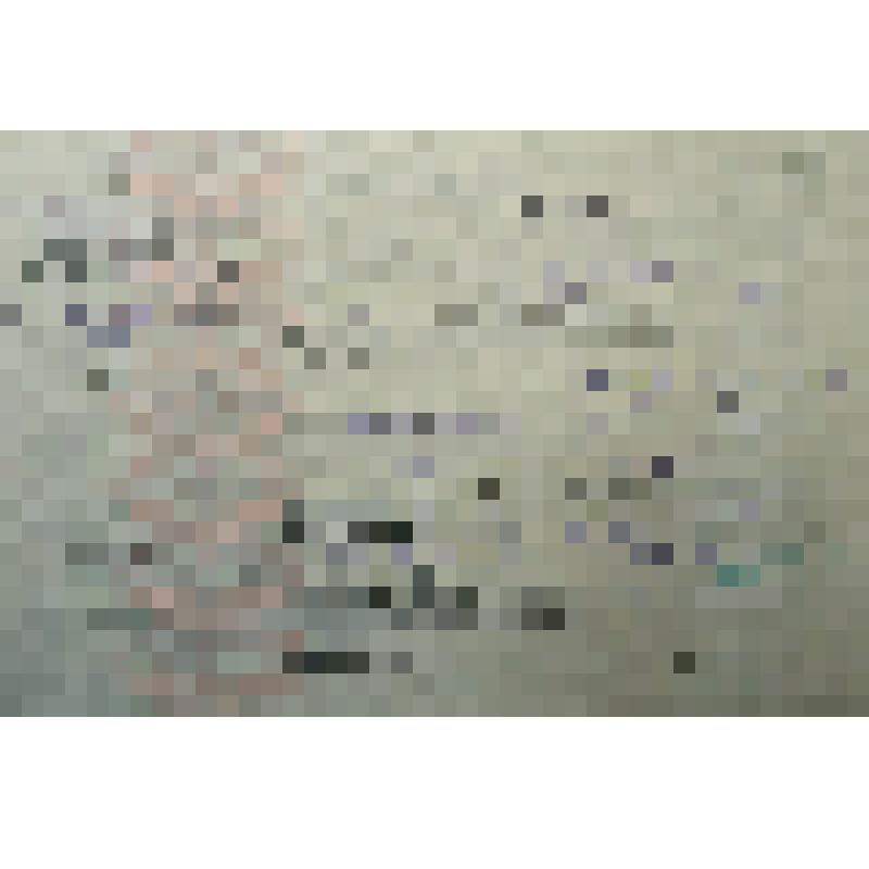 Пропуск № 9816 Никулиной Е.Д