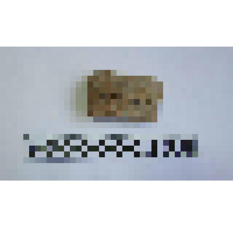 Ручка амфоры типа Зеест 72