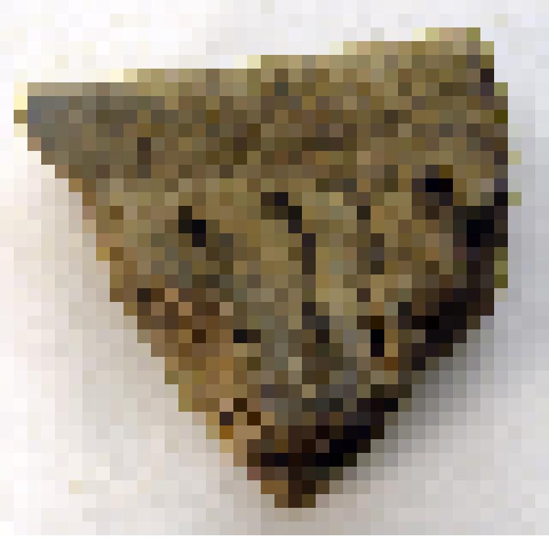 Фрагмент венчика сосуда