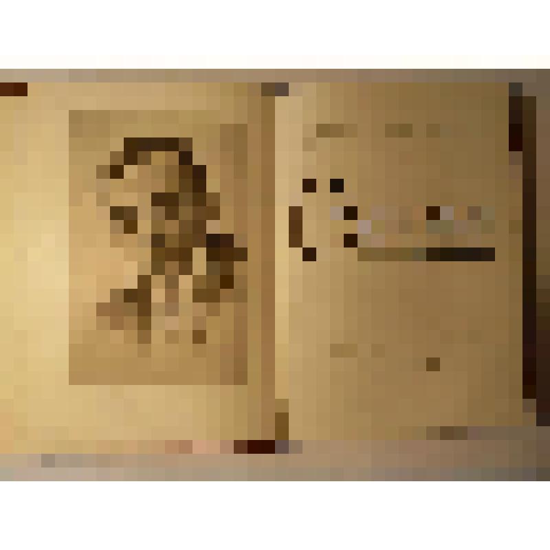 Книга. "С Вахтанговым"