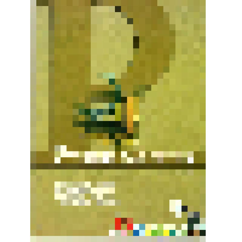 Буклет. Руки не для скуки / Микула Л.П. - Нижневартовск: МВ-Принт, 2001