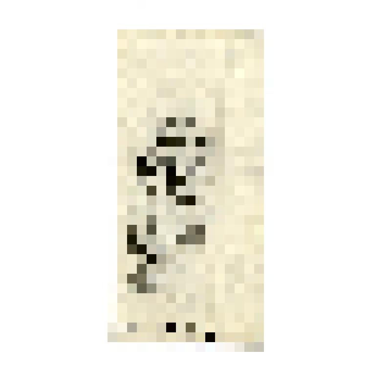 Иконный образец. Праведный Симеон  Богоприимец