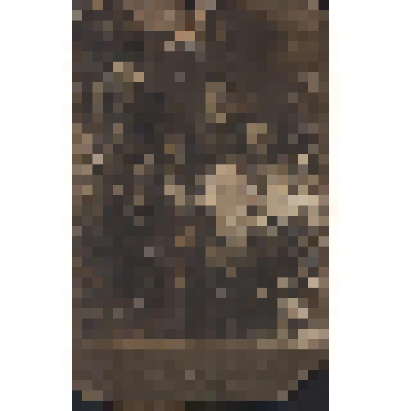 Фото групповое. Горюнов Николай Никонович (слева в форме стоит)