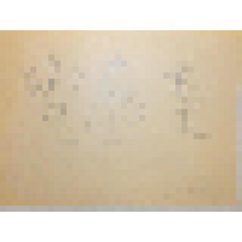 Эскиз куклы. Персонажи "Клития, Ирис, Виктор". "Из жизни насекомых". Воронеж, Театр кукол «Шут»