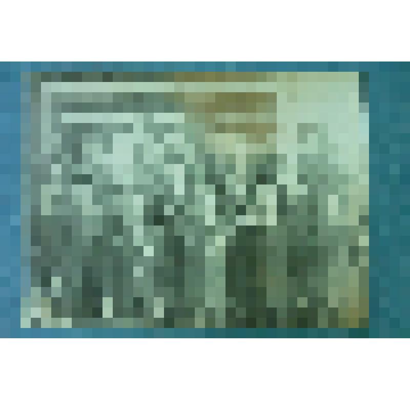 Фотография групповая