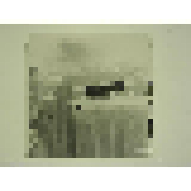 Дом Брусаловых. Ул. О.Кошевого, 14/43. 1905-1906 гг. Челябинская  обл., Кусинский р-н, г. Куса. Дом Брусаловых. Ул. О.Кошевого, 14/43. 1905-1906 гг. Ворота. Декор лицевого фасада