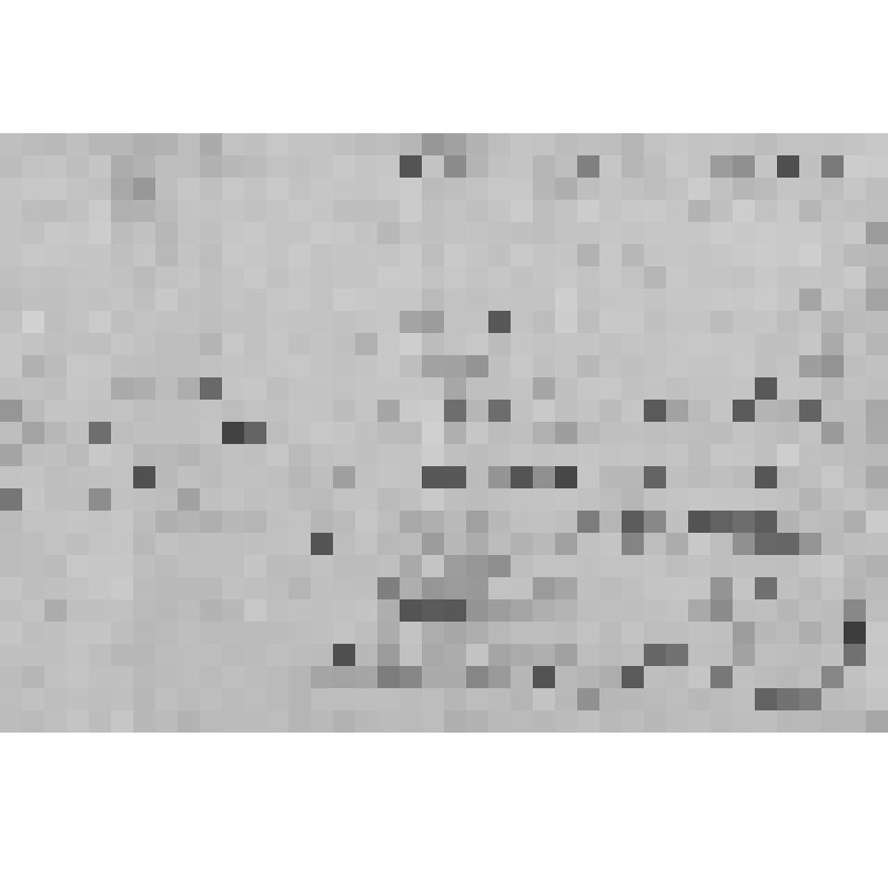 УДОСТОВЕРЕНИЕ КАМАЛОВУ А. В ТОМ, ЧТО ОН ДЕЙСТВИТЕЛЬНО КОМАНДИРОВАН НА ст.РЖЕВКА В ХОЗЯЙСТВЕННУЮ ЧАСТЬ ПОЛКА. 20 МАЯ 1920г