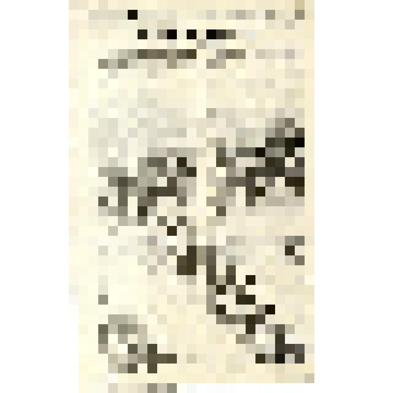 Российская социал-демократическая рабочая партия. Центральный комитет РСДРП. Порт - Артур и Ляоиань. Товарищи! "Страшные вещи идут с дальнего востока:"