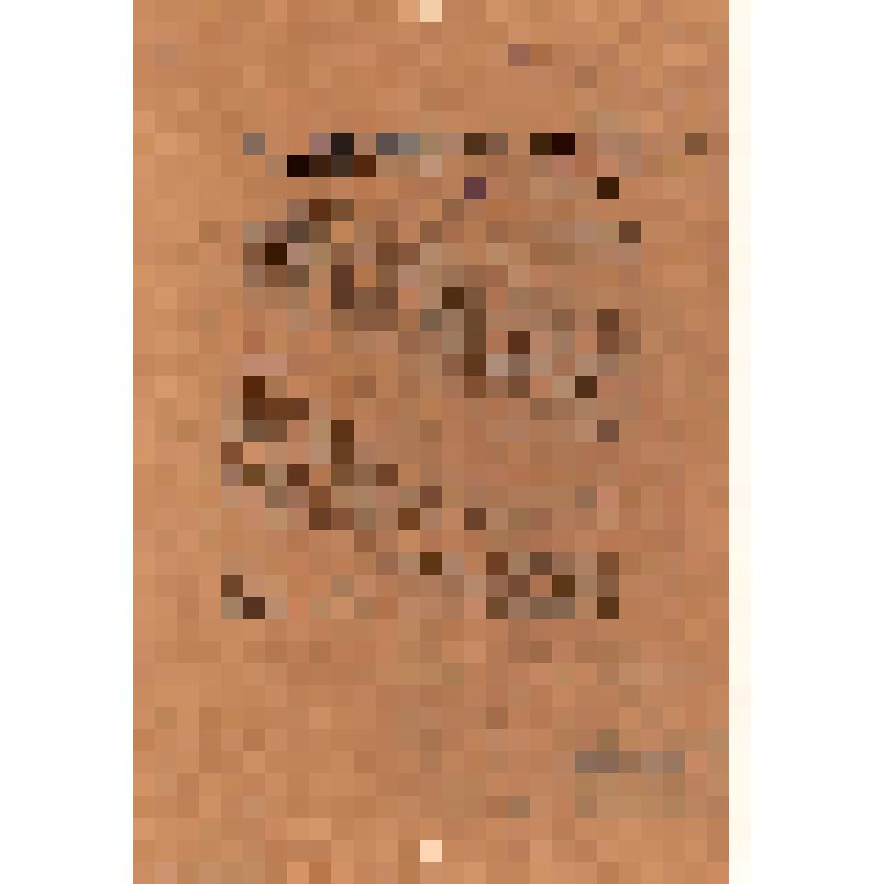 От комитета Совета рабочих депутатов 1 марта 1917 г