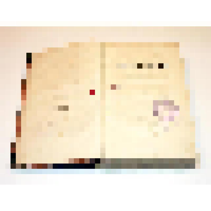 Книга. Путешествие по святым местам в 1830 году. - Ч. I., Ч. II. - СПб.: Типография при III Отделении собственной его императорского величества канцелярии, 1832. - IV с., 300 с., IV с., 244 с.: карта