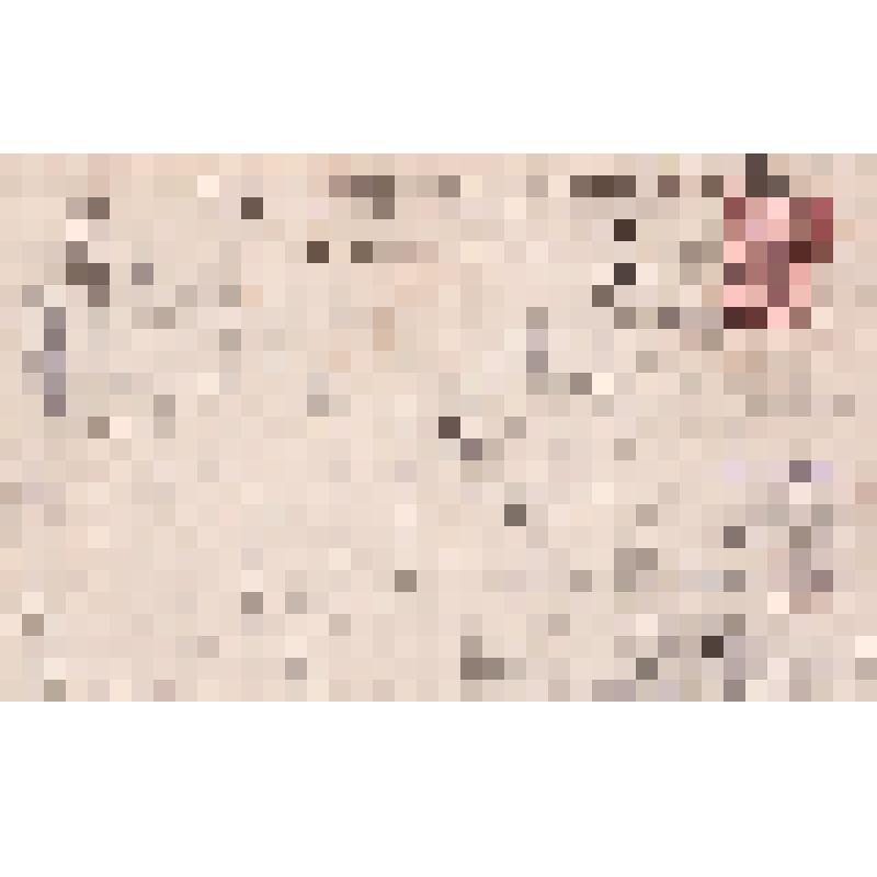 Открытка Академия художеств в Санкт-Петербурге