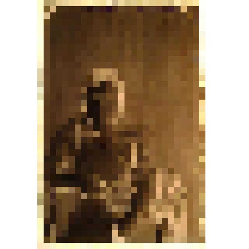 Негатив. Портрет поясной молодой женщины