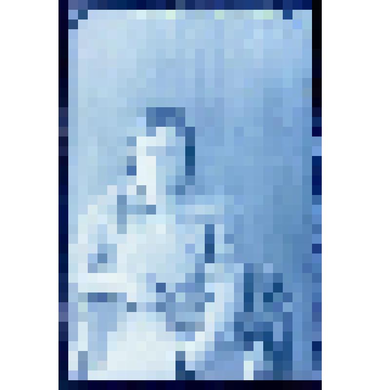 Негатив. Портрет поясной молодой женщины