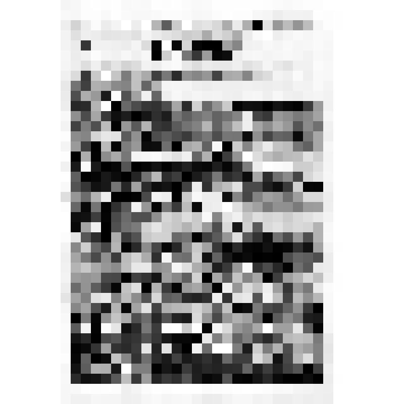 Программа. Тихоокеанский Музыкальный Фестиваль