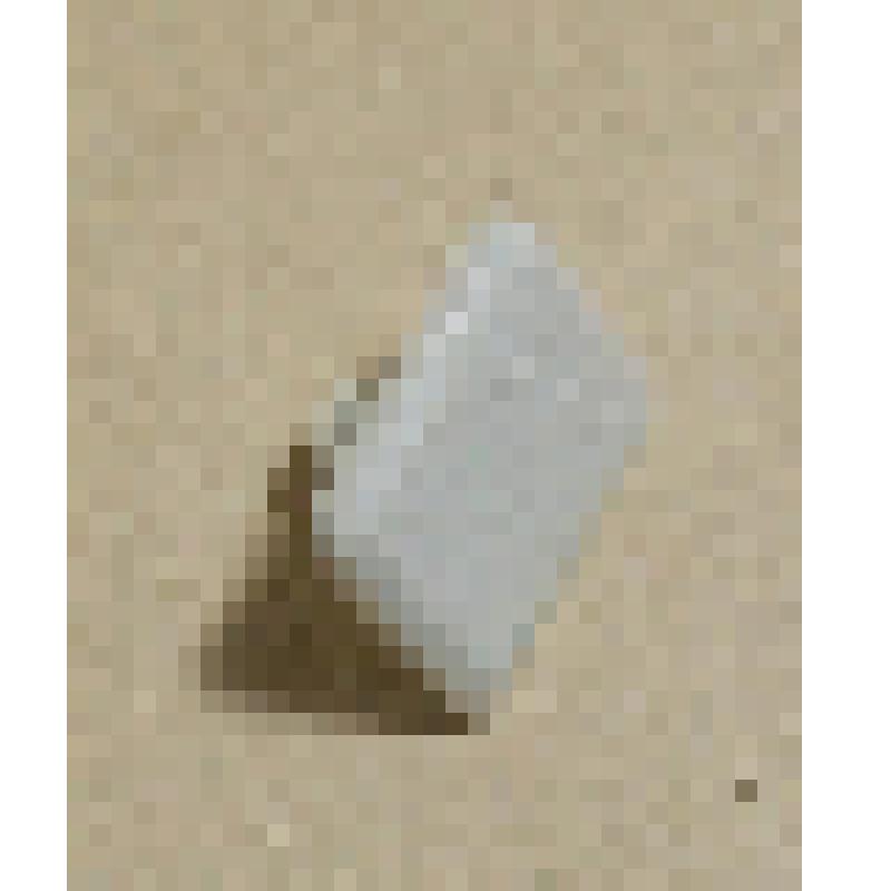 Запонка манжетная мужская, из коллекции бытовых вещей семьи Орловой Калерии Николаевны, бывшей заведующей лабораторией Саратовского областного туберкулезного диспансера