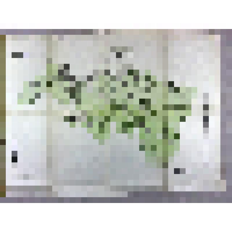 Карта гидрогеологическая. Ртищевский район