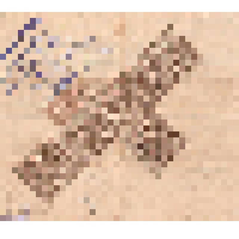 Удостоверение личности (вместо паспорта) Кудряшову Василию Дмитриевичу от 22 февр.1924 г. № 137 На обратной стороне свидетельства 11 гербовых марок, все перечеркнуты