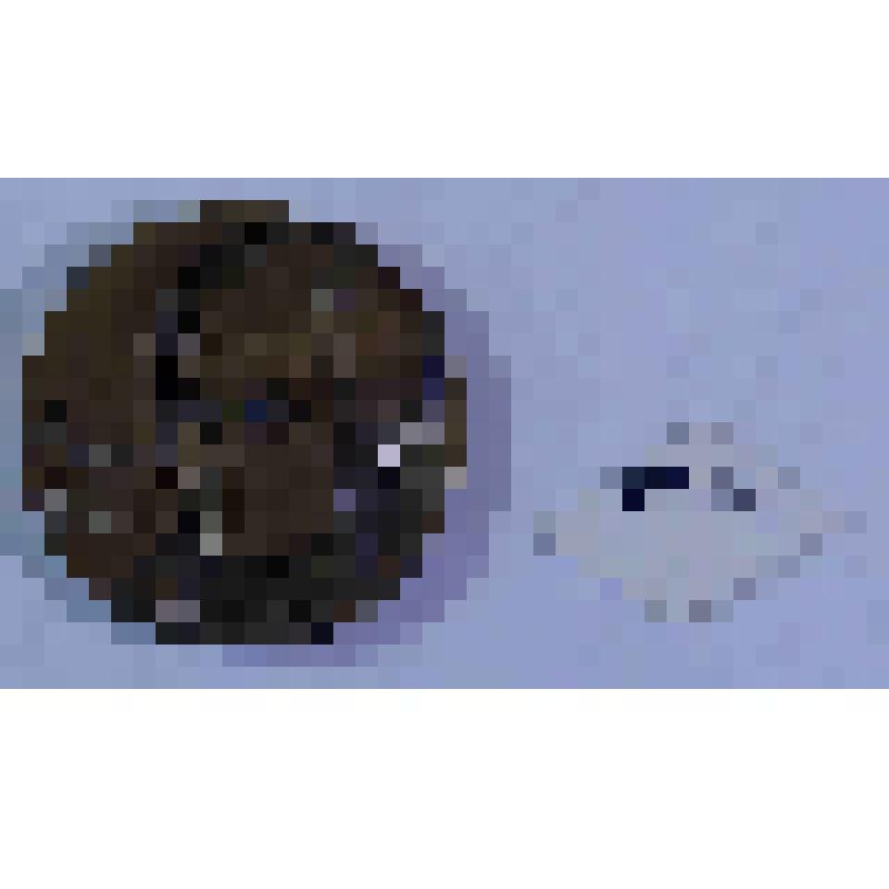 ПАМЯТНАЯ МЕДАЛЬ. РОБЕРТ БЕРНС (1759-1796)