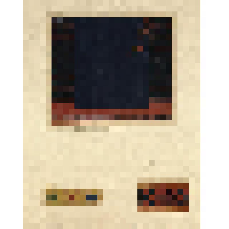 Зарисовки поневы и ее деталей. Из альбома "Орнамент русской народной женской одежды. Женская одежда средне-русской полосы. Отдельные предметы одежды и детали орнамента. Часть III-А."